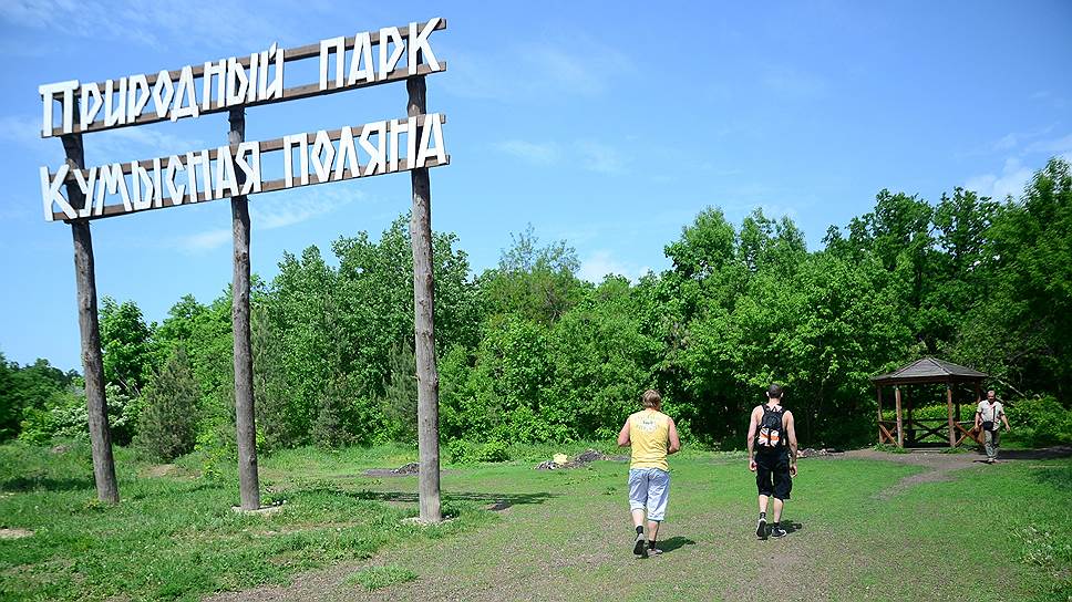 Саратовскому лесопарку «Кумысная поляна» могут дать новый охранный статус