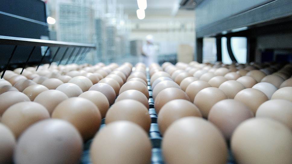 Производители больше не видят причин для повышения цен на яйца