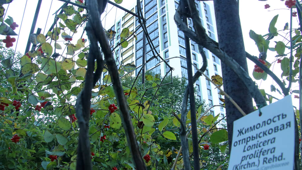 Возле Ботанического сада в Уфе могут вырасти новые многоэтажки