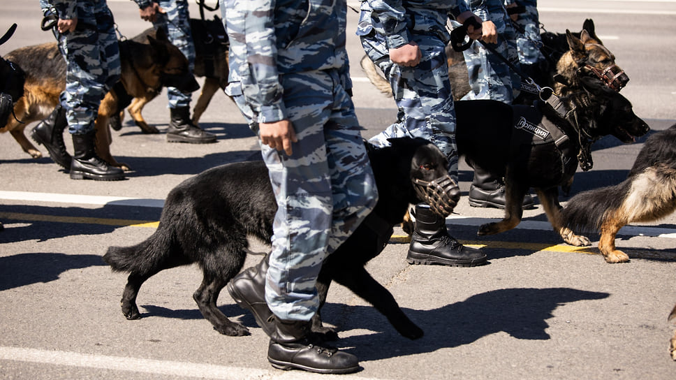 Полицейские собаки на параде в честь 9 мая