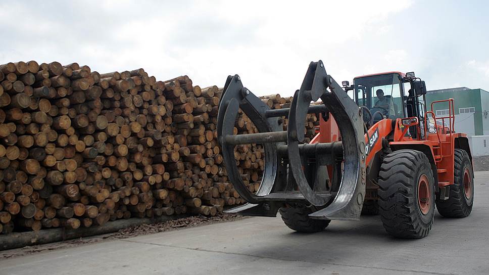 Из-за проблем с древесиной забуксовал амбициозный проект по строительству ЦБК