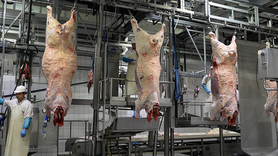 Новый мясоперерабатывающий комплекс в Калмыкии заработает к концу года