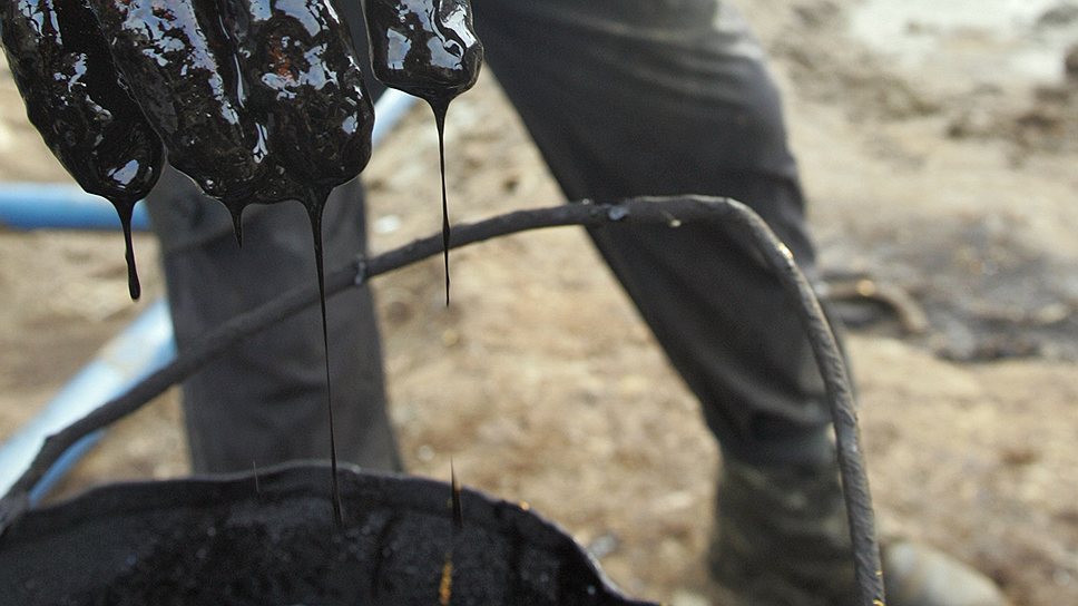 Черноземье может увидеть собственную нефть