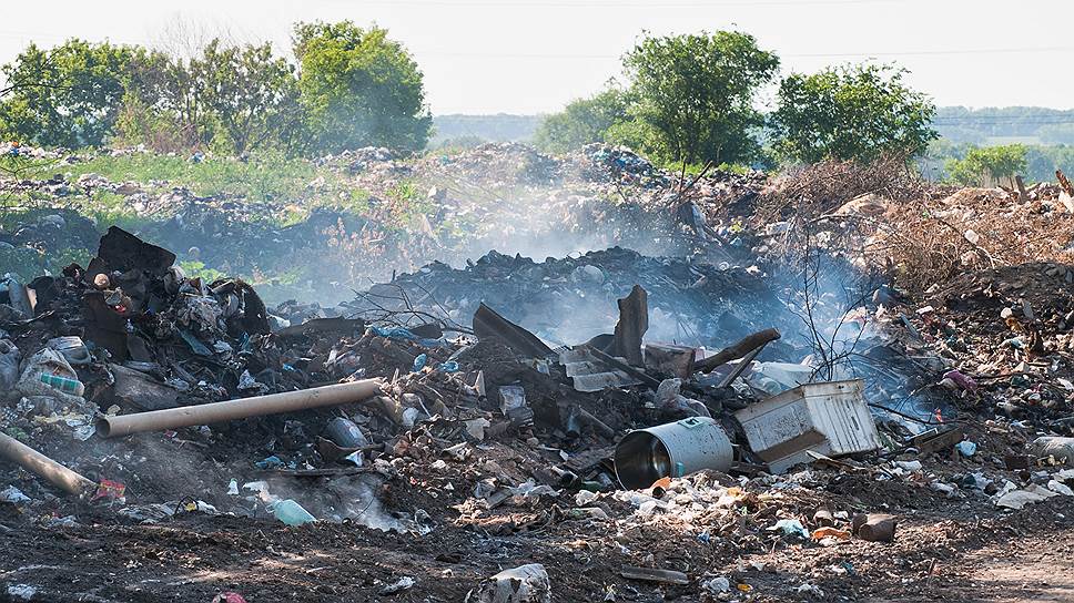 В Воронеже растет объем бытовых отходов и число несанкционированных свалок