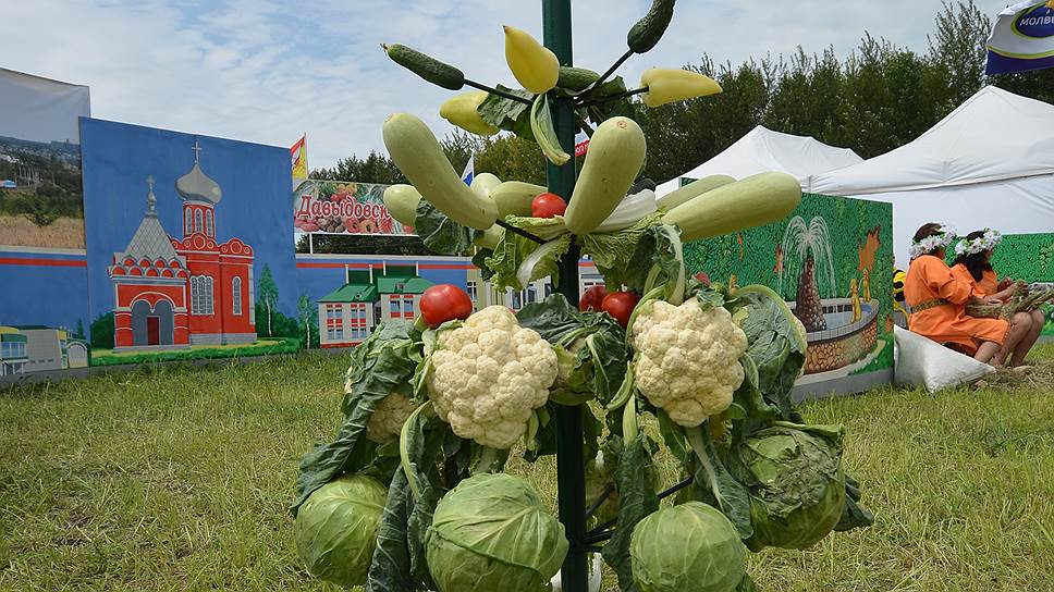 В торговых сетях Орловской области в ближайшей перспективе не ожидают появления тепличных овощей местного производства