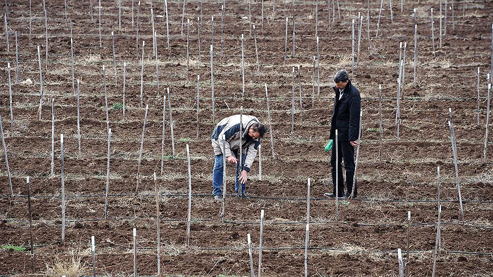 Развитию сельхозкооперации в Черноземье мешает недоверие фермеров