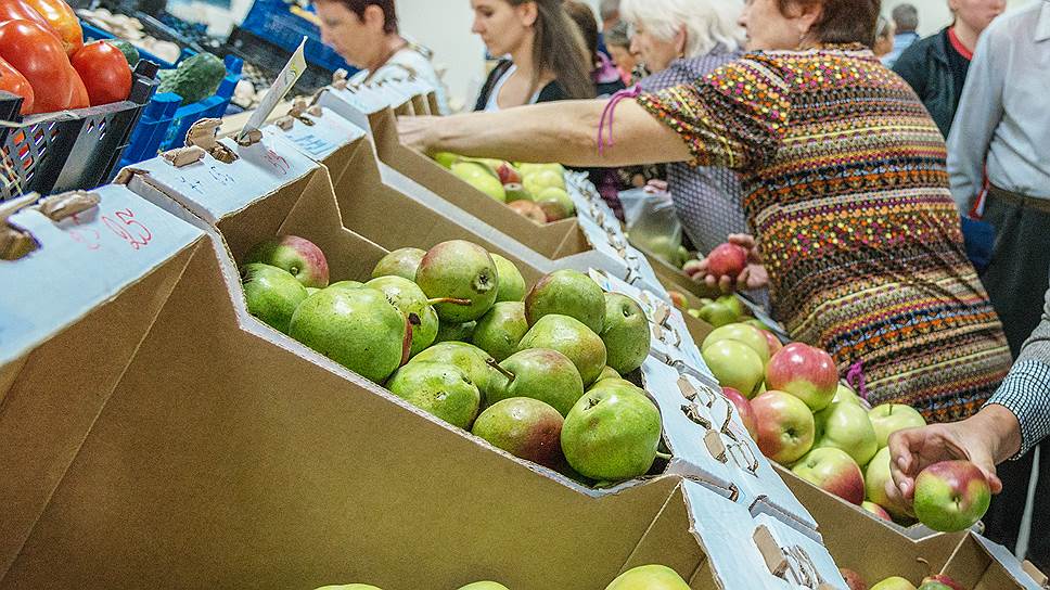 Как на Белгородчине инвестируют в яблоки