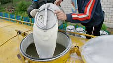 «Курск-молоко» утекает в Петербург