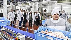 Белгородский холдинг «Промагро» запустил третью очередь мясоперерабатывающего завода за 1 млрд рублей