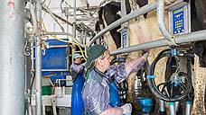 Власти планируют удвоить финансовую поддержку племенного молочного животноводства в Воронежской области