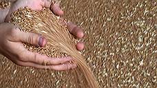 Уборка зерновых началась в Орловской области