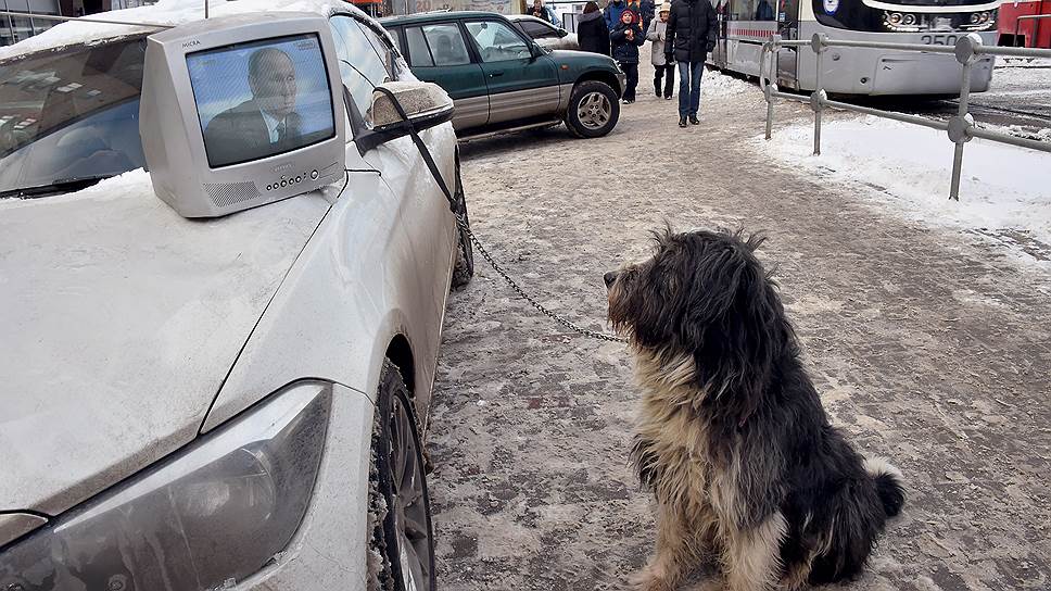 Молчит собака. Охраняет машину прикол. Молчать пес фото.