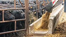 Белгородская «Агроакадемия» вложила в производство кормов для животных уже более 1,15 млрд рублей