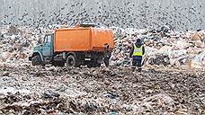 В Тамбовской области определились все ответственные за вывоз мусора