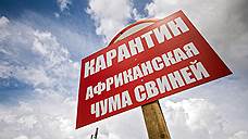 Орловские депутаты попросят у федерального правительства денег на борьбу с АЧС