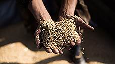 «Черкизово» нарастила продажи зерна за счет запасов