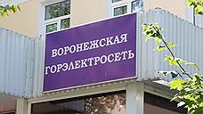 Уголовное дело Руслана Кочетова не должно помешать приватизации «Воронежской горэлектросети»