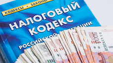 С начала года в Воронежской области ущерб от налоговых преступлений достиг почти 400 млн рублей