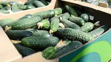 «Долина овощей» хочет купить тепличный бизнес «Реновы» в четырех регионах