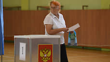 На выборах губернатора Курской области проголосовали 28% избирателей