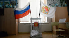 Явка на выборах в Аннинский райсовет Воронежской области превысила 74%