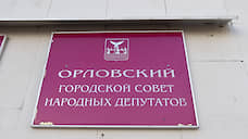 Вакантный мандат в горсовете Орла получит директор школы Наталья Зубцова