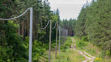 На развитие орловских лесов до 2025 года планируют направить 576 млн рублей