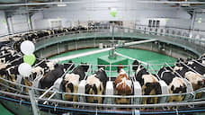 «Эконива» открыла два молочных комплекса в Воронежской области