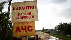 В Орловской области может быть введен карантин по АЧС