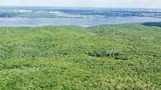 Вокруг Тамбова установили зеленый пояс площадью 126 кв. км
