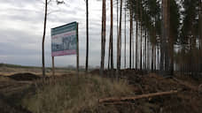 «Воронежнедра» согласились поменять 21 га лесов под карьер на другой участок