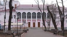 Никитинский театр в Воронеже рассчитывает продолжить работу в штатном режиме