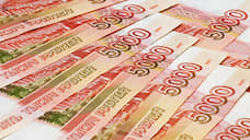 В Воронежской области одобрено почти 400 заявок на зарплатные кредиты