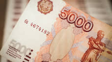 Банки в Воронеже за период пандемии провели реструктуризацию кредитов почти на 22 млрд рублей