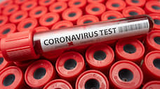 Число заболевших коронавирусом в Липецкой области выросло на 49 человек