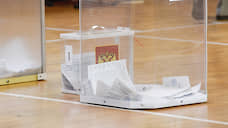 В Воронежской области по поправкам в Конституцию проголосовали около 1,3 млн человек