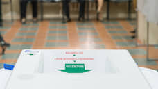 В Липецкой области на голосовании по поправкам в Конституцию явка достигла 66,3%