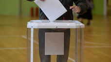 В Воронежской области за поправки в Конституцию проголосовали 80,7% пришедших на участки