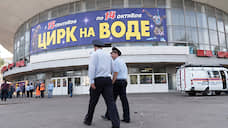 Воронежский цирк может получить на реконструкцию 1,87 млрд рублей