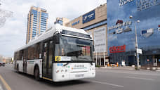 Мэрия Воронежа рассчитывает закупить 62 автобуса большой вместимости за 500 млн рублей