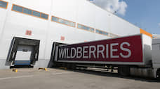 Wildberries может построить на Тамбовщине распределительный центр за 5 млрд рублей