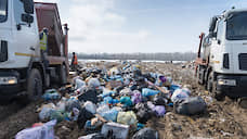 За 10 лет в реконструкцию липецкого мусорного полигона может быть вложено 2,6 млн рублей