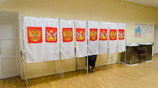 Явка на избирательные участки в Воронежской области превысила 5%