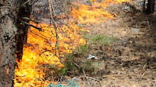 В Воронежской области локализовали лесной пожар на 75 га