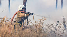 Лесные пожары вокруг Воронежа потушены