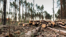 Собственникам «Северного леса» в Воронеже направлены предложения по компенсационным участкам