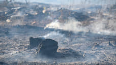 В Воронежской области огонь повредил более 25 домов
