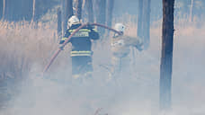 Пожарным удалось отвести огонь от населенных пунктов Воронежской области