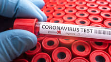 За сутки в Черноземье коронавирусом заболели 490 человек
