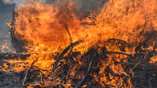 Лес загорелся еще в одном районе Воронежской области
